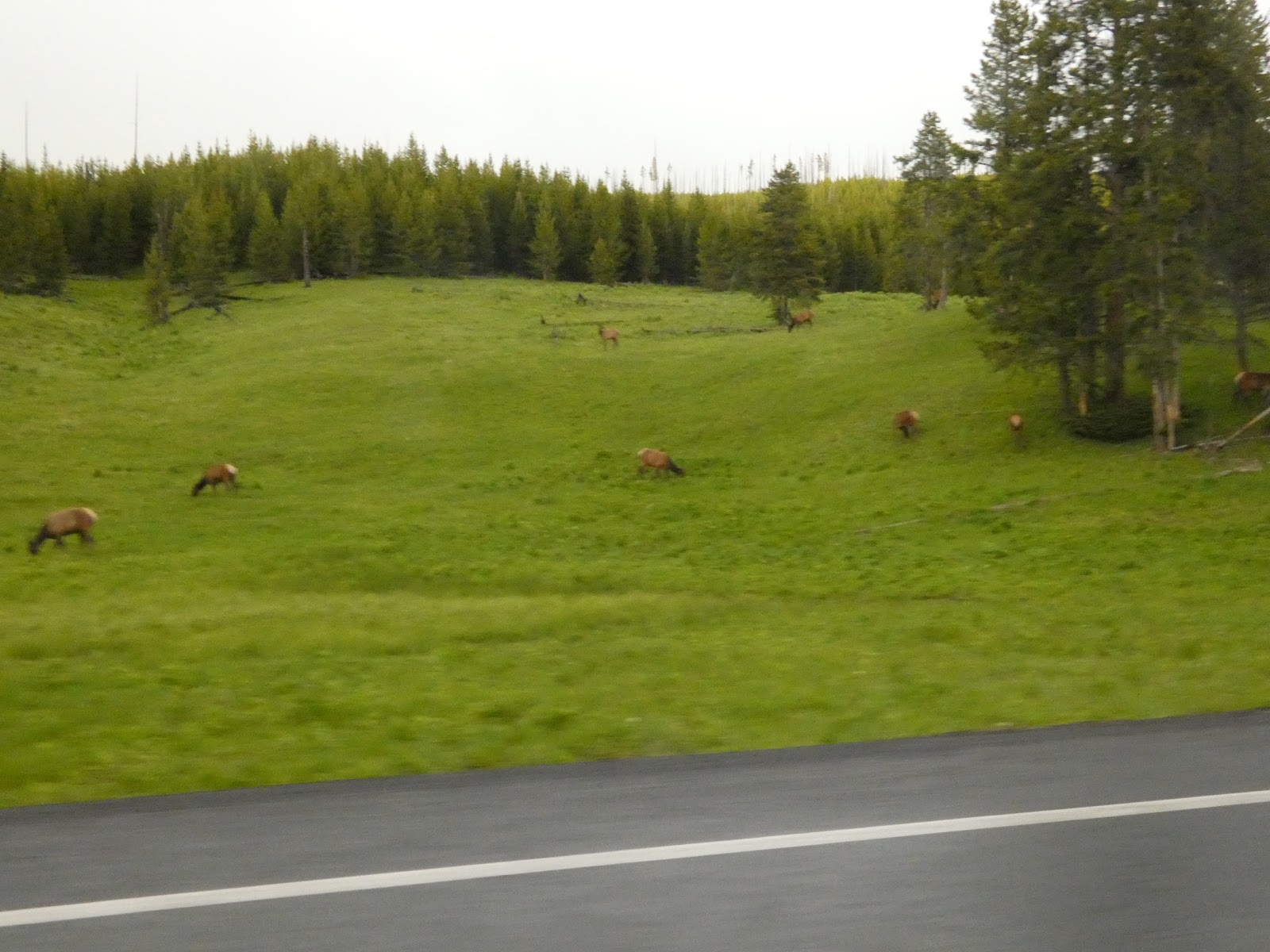 Elk Fork Campground