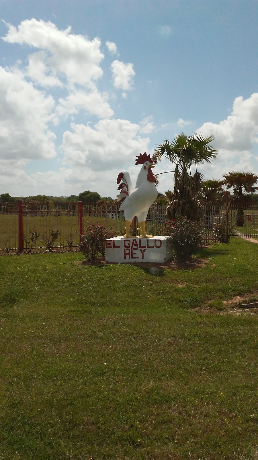 Red Oak Ranch