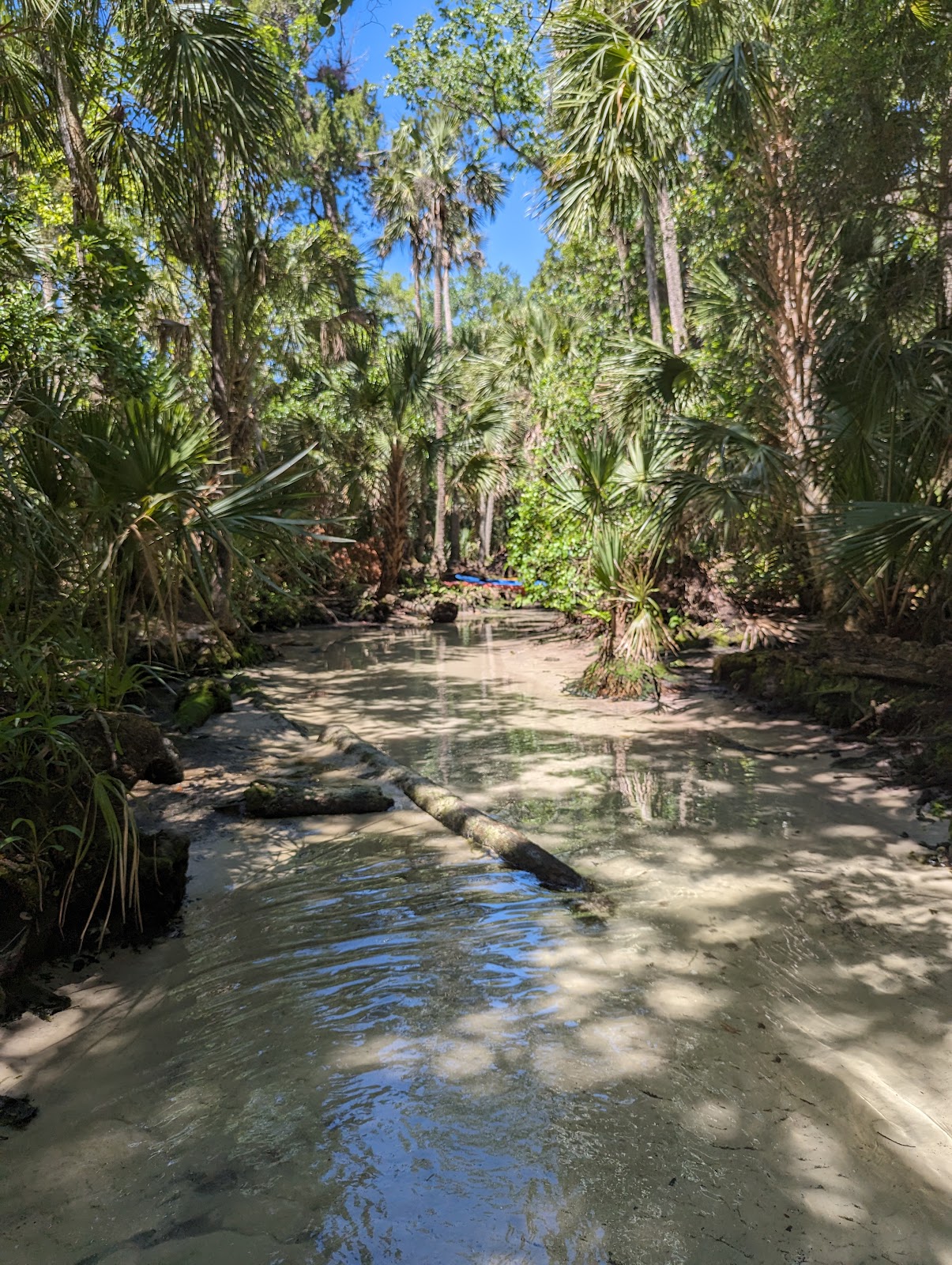 Chassahowitzka River Campground (city park)