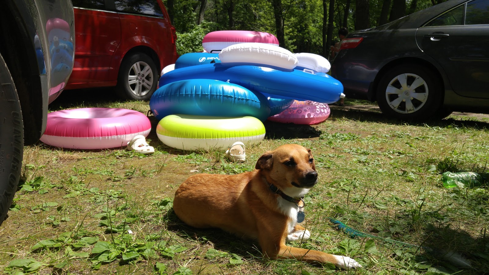 Wapiti Park Campground