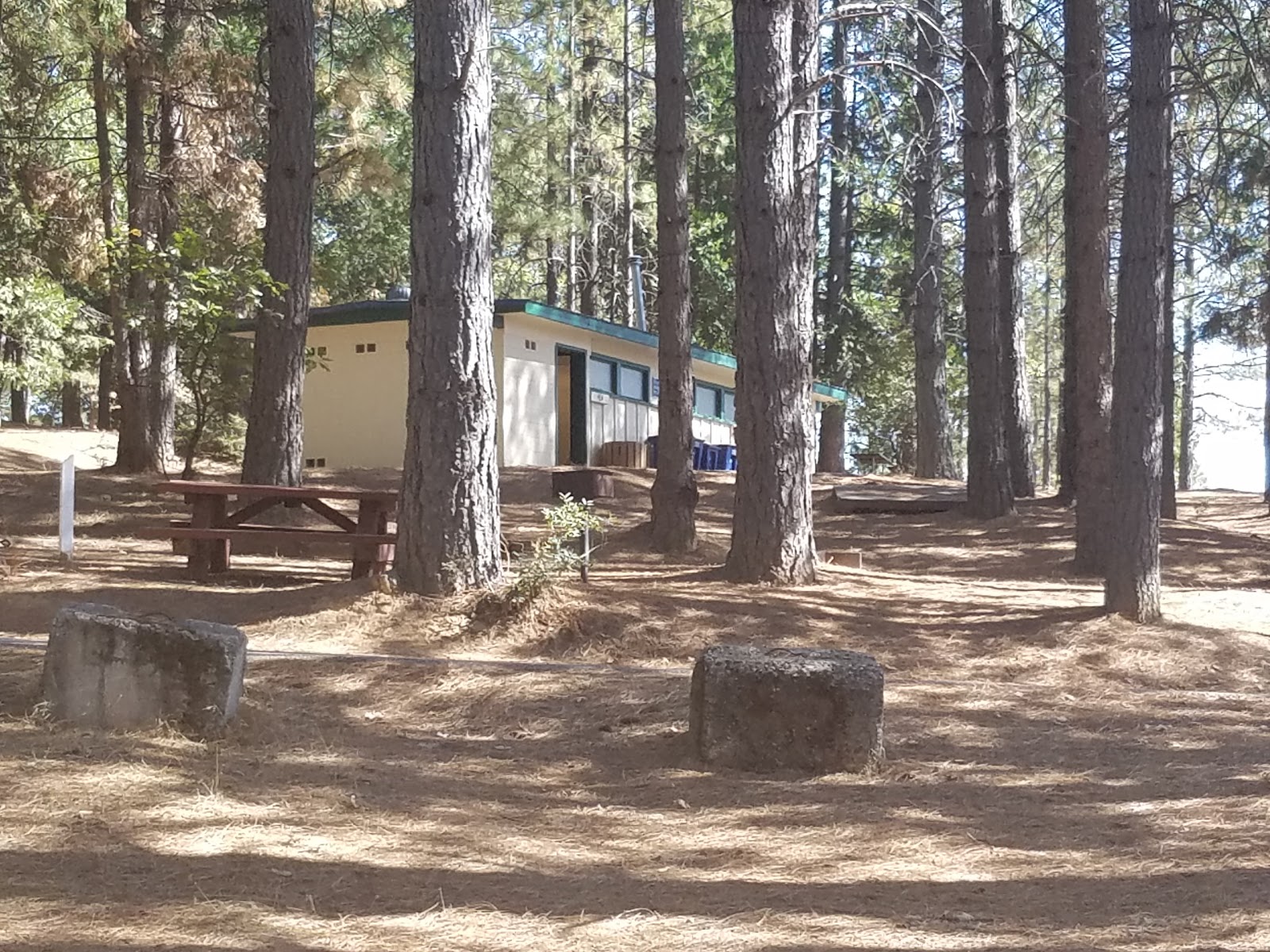 Orchard Springs
