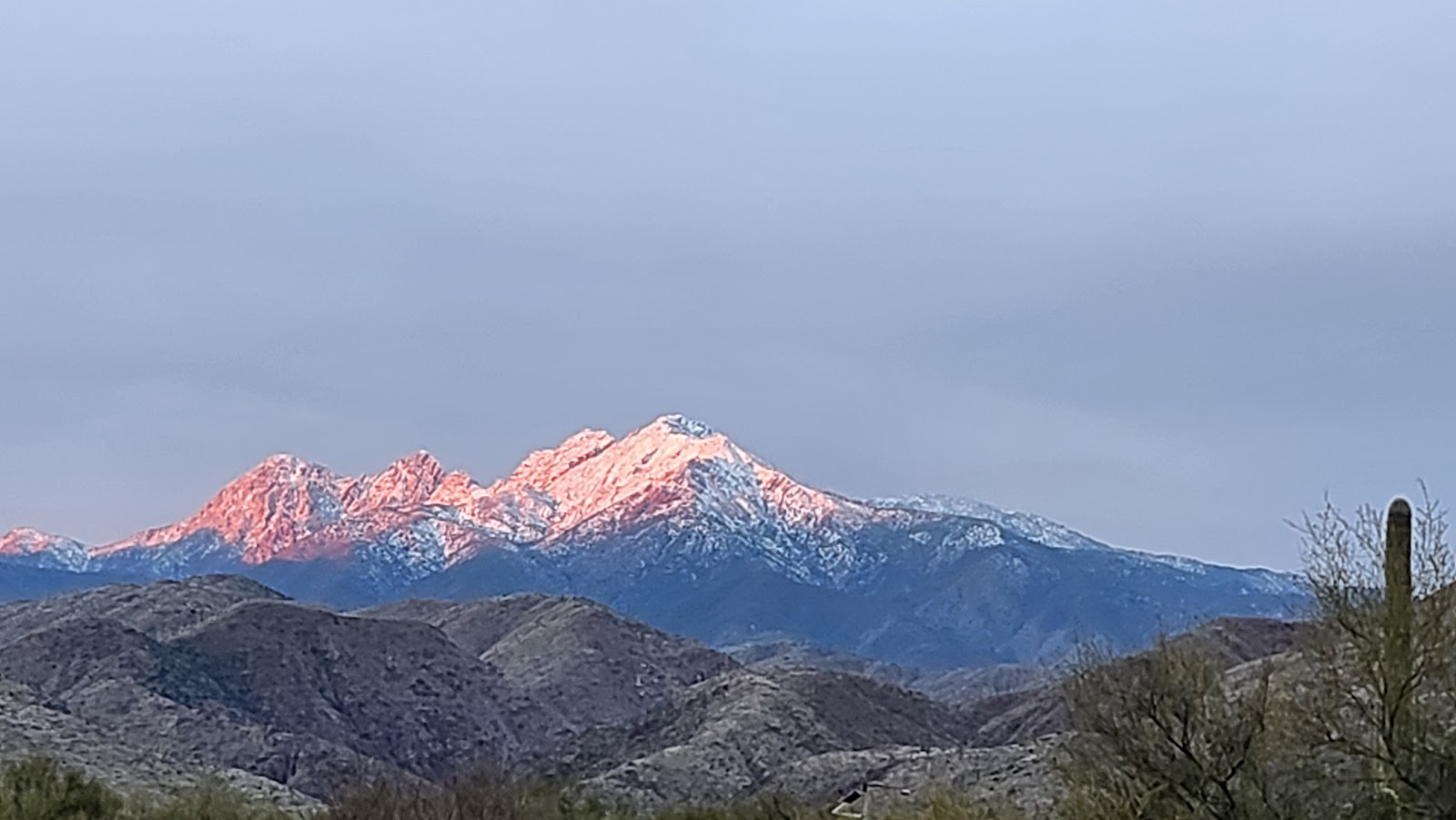 Roosevelt Lake - Cholla Campground