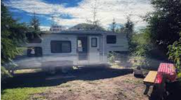 Misty Willow's Farm and Camp