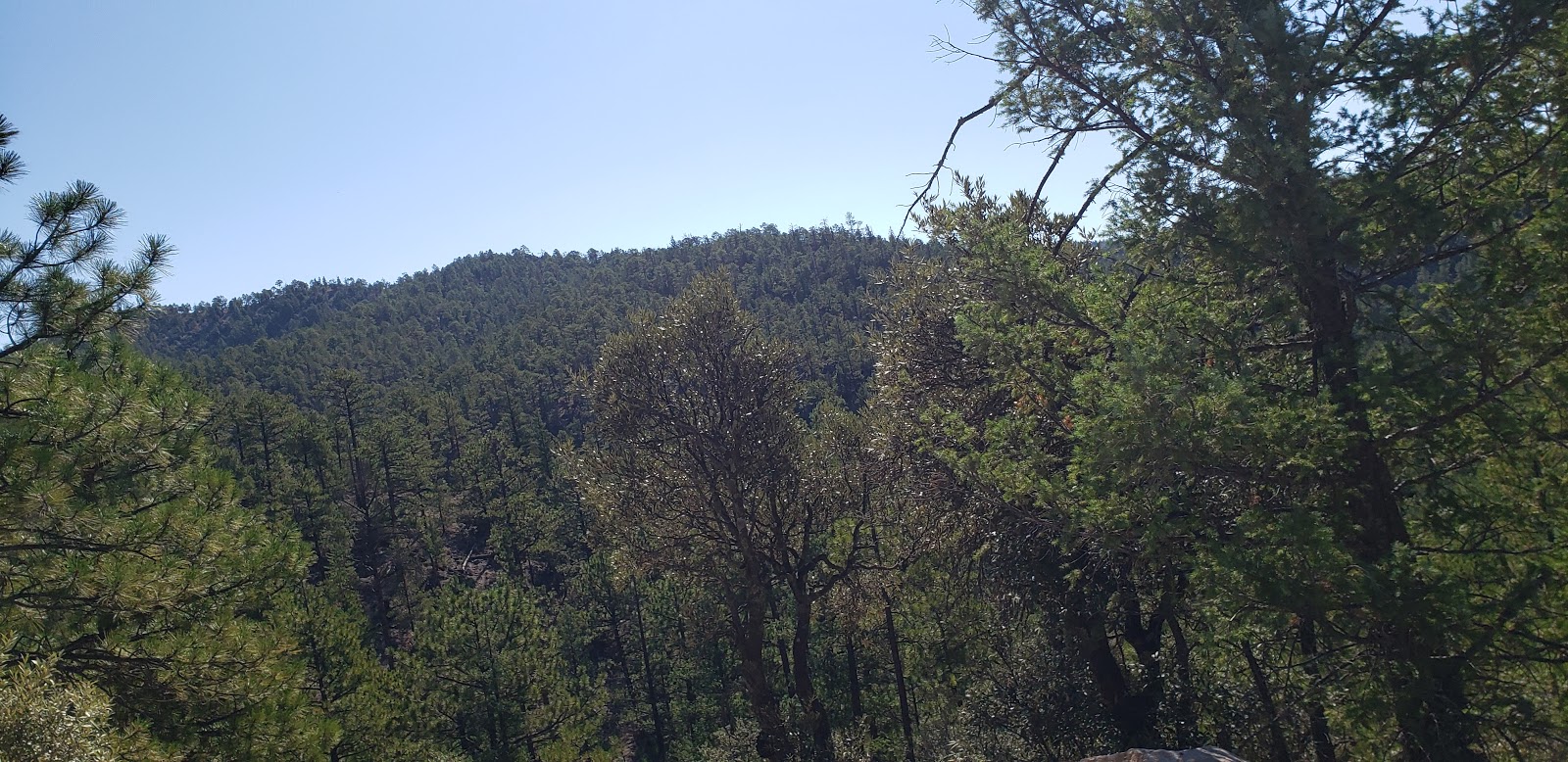 Rocky Canyon Campground
