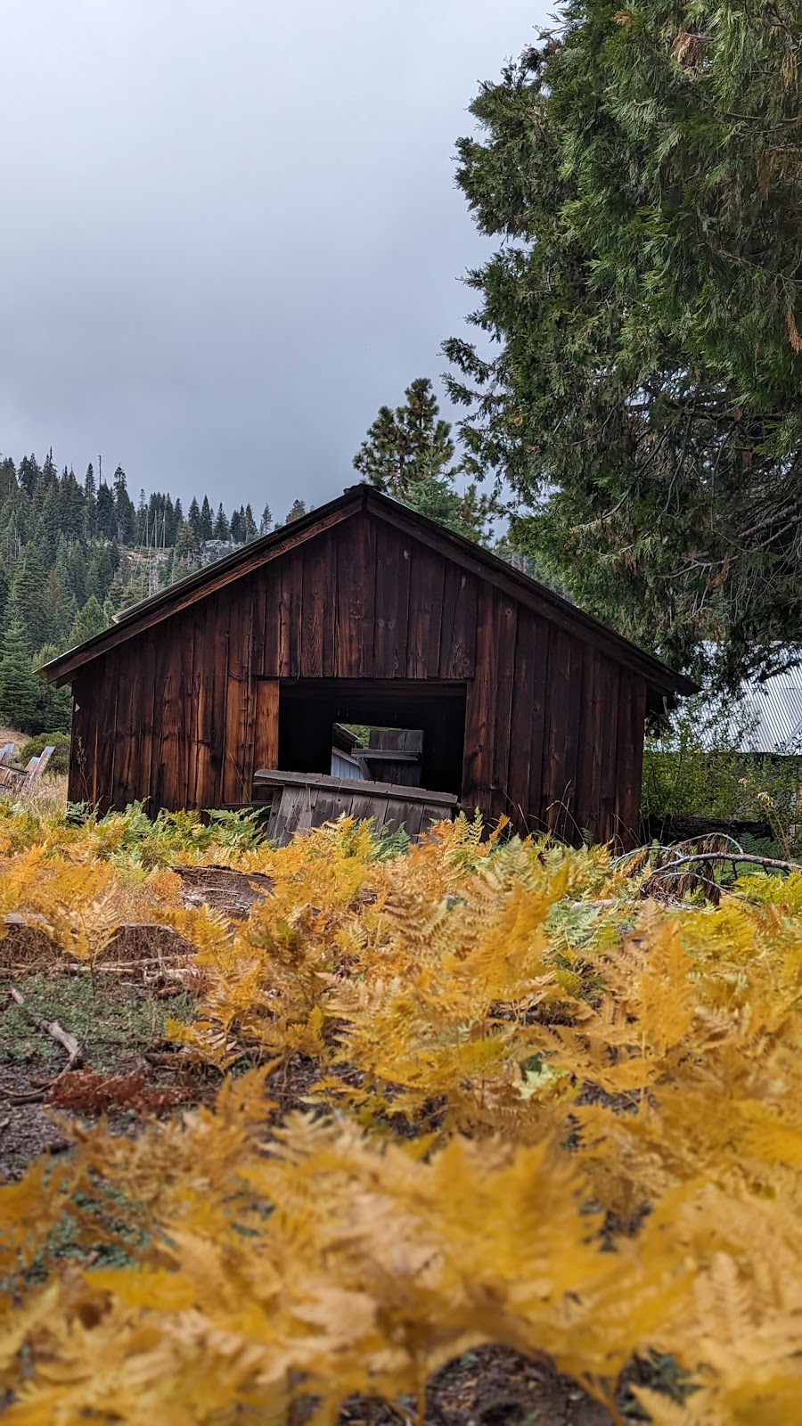 Dinkey Creek Campground