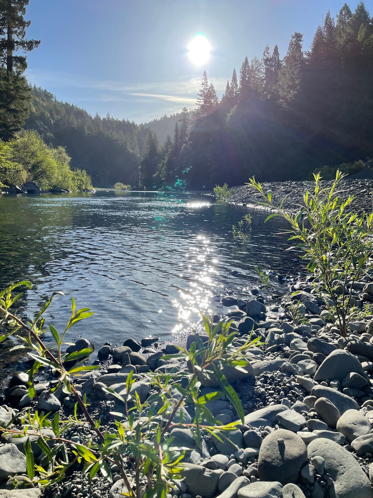 Redwoods River Resort & Campground