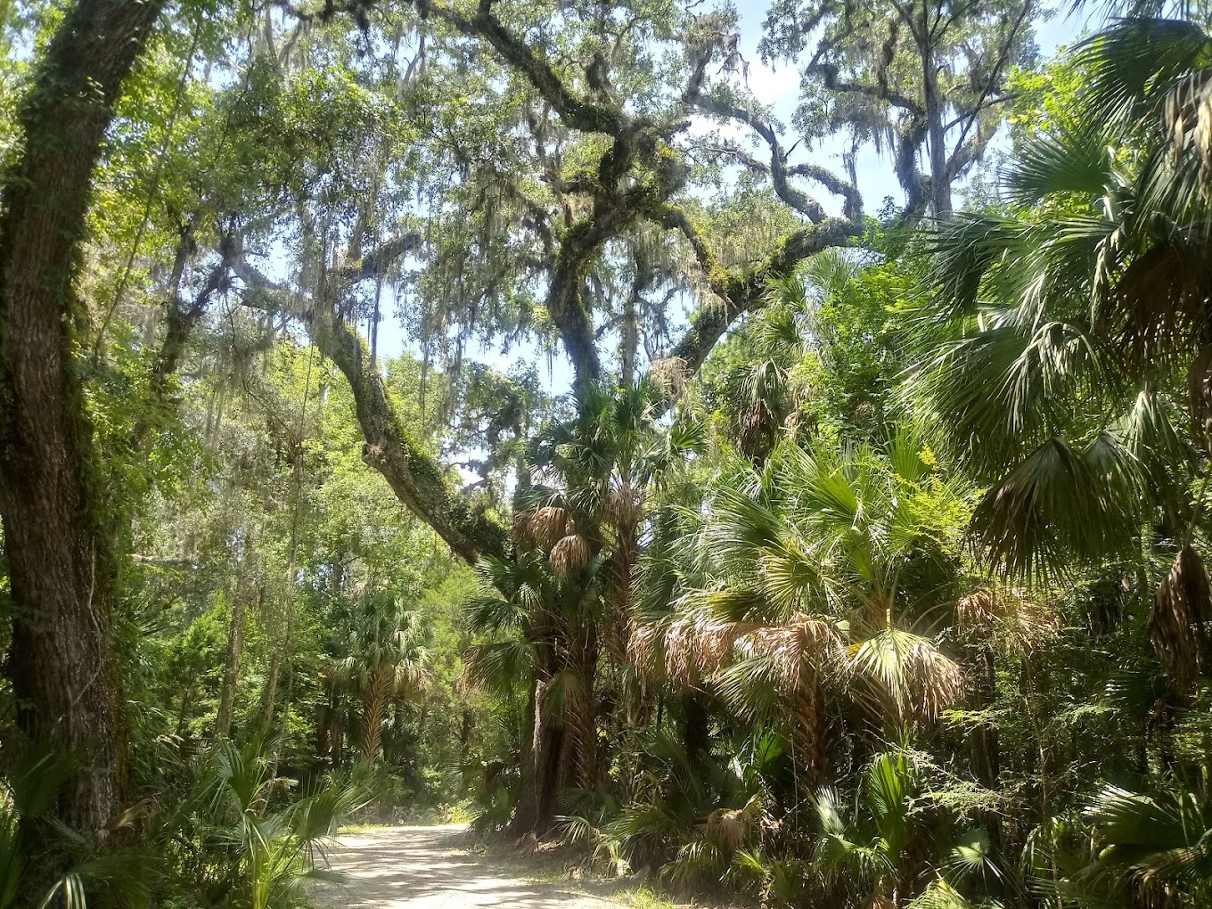 Potts Preserve