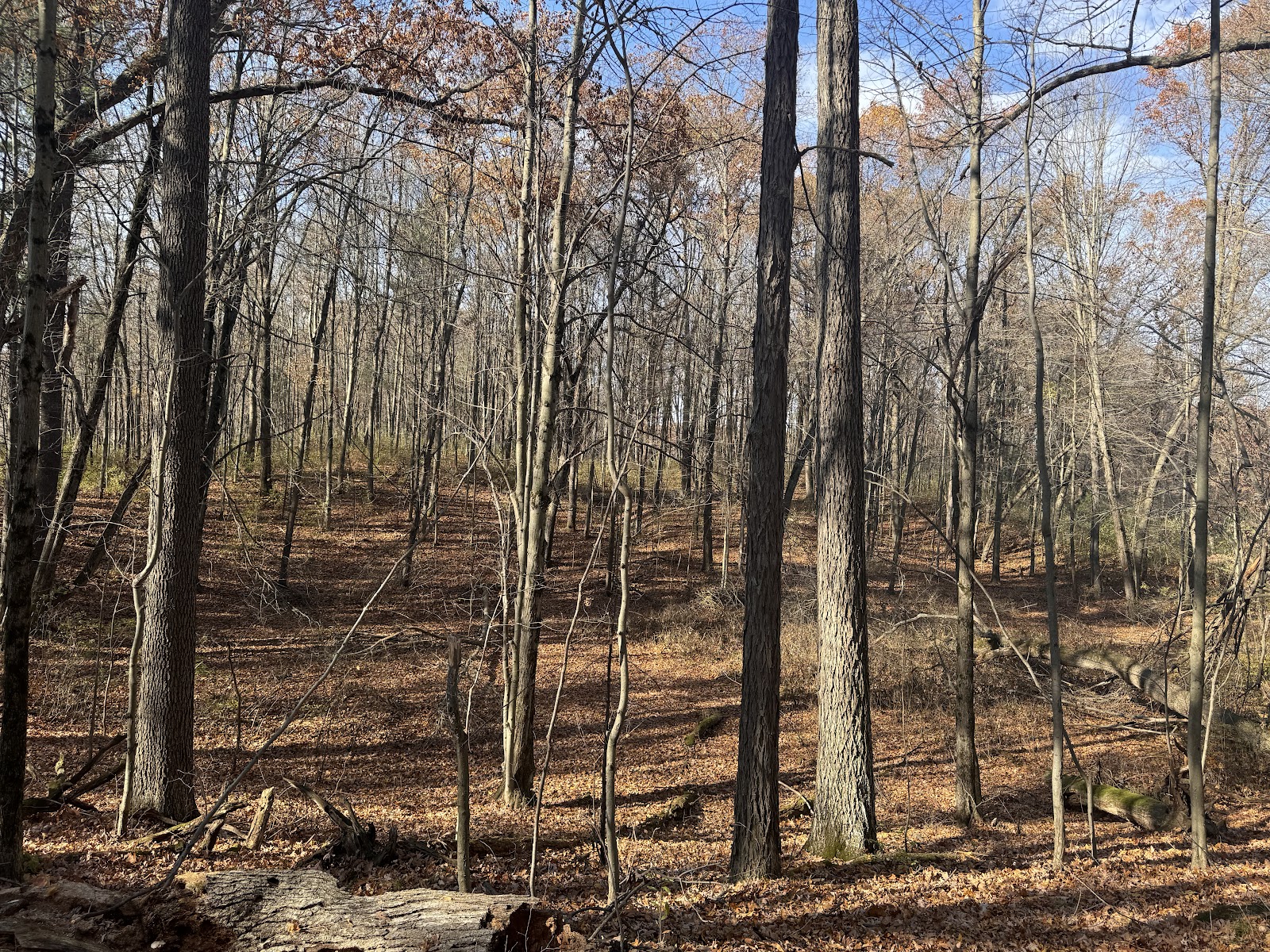 Holly Recreation Area