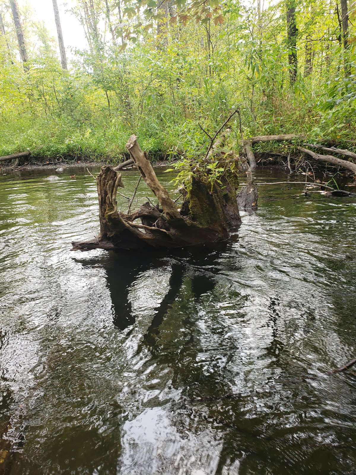 Twin Pine Campground and Canoe