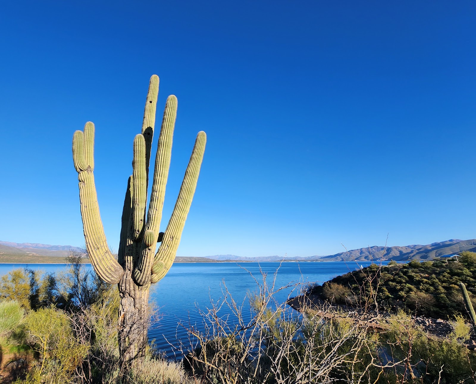 Roosevelt Lake - Cholla Campground