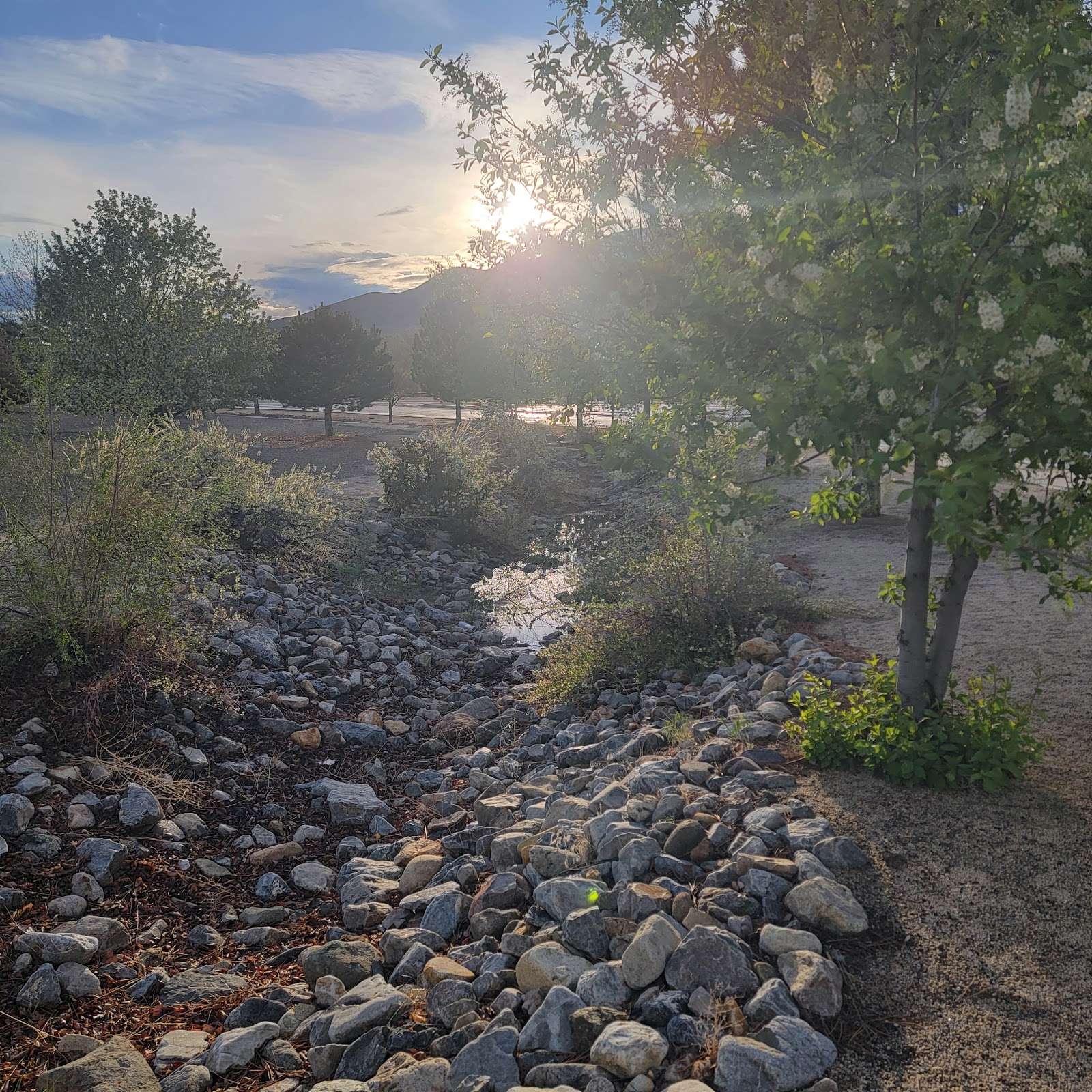 Westerner Trailer Lodge
