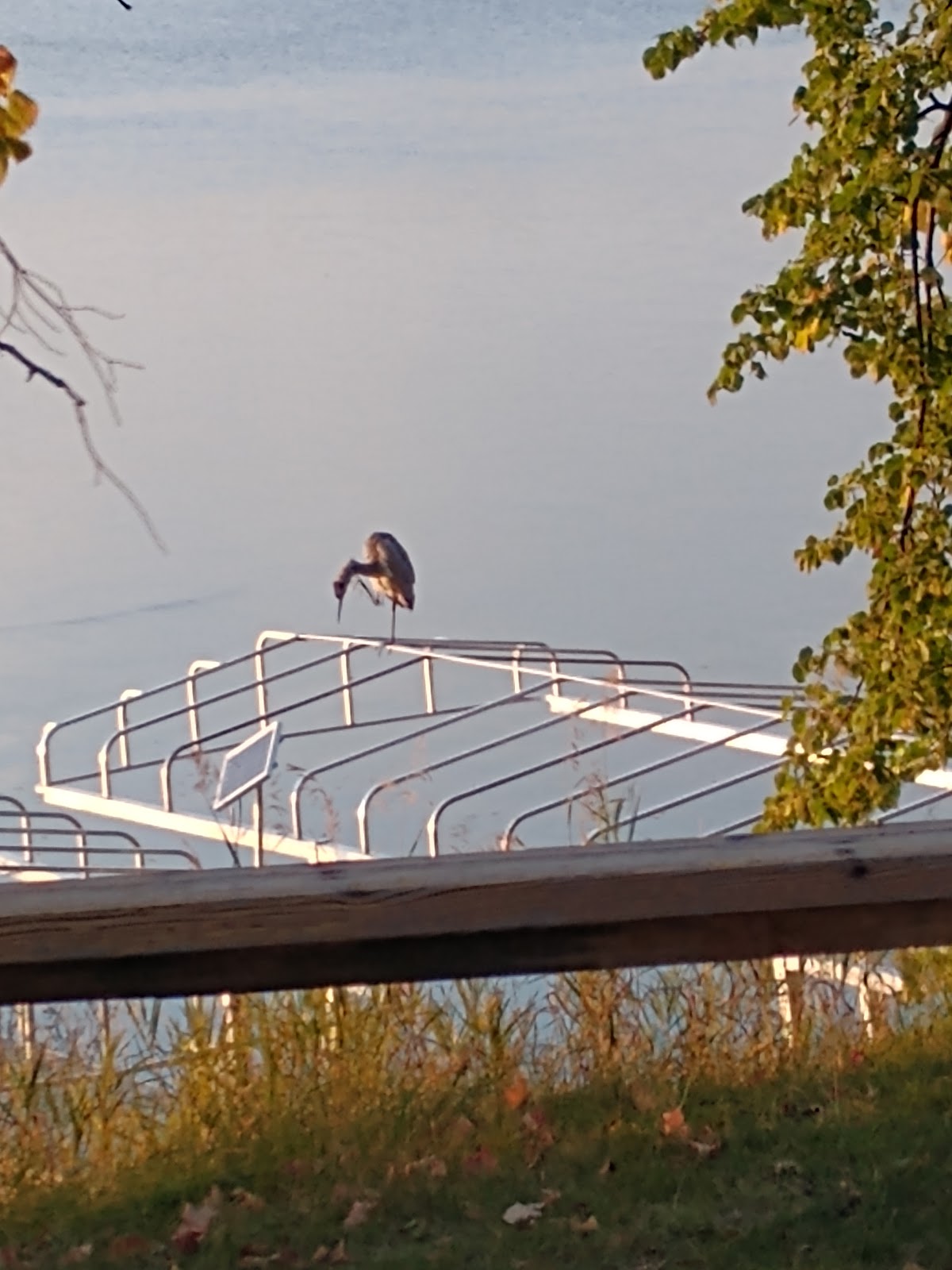 Cottage Grove Resort