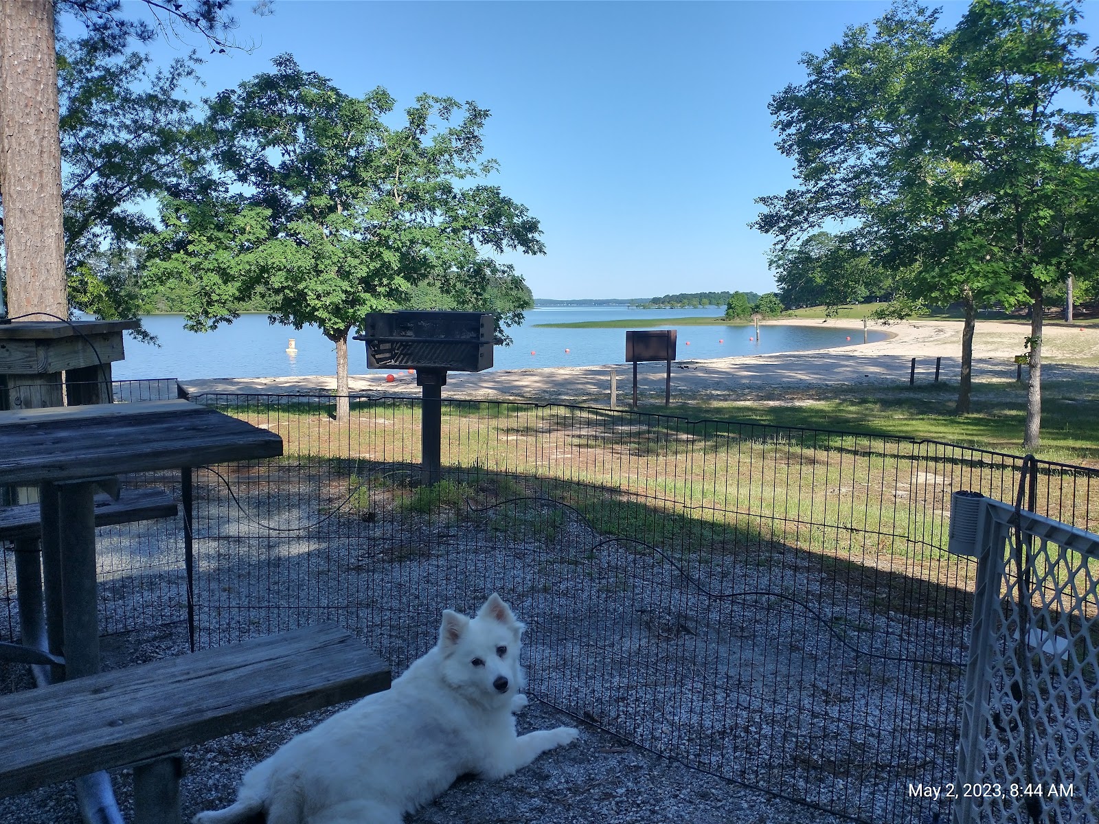 Cotton Hill Park