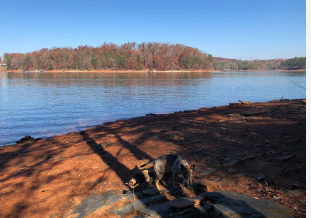 Tugaloo State Park