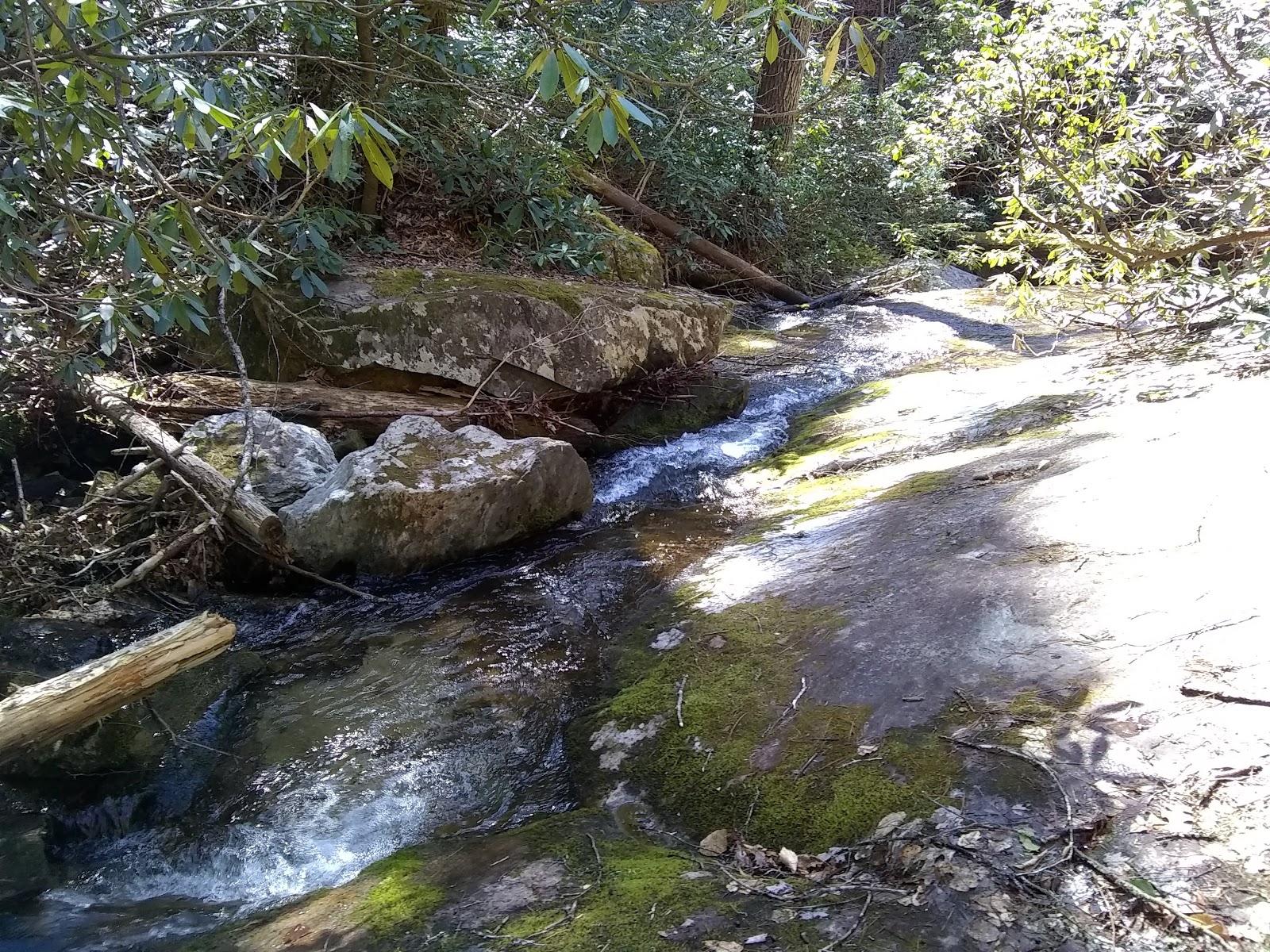 Mortimer Campground