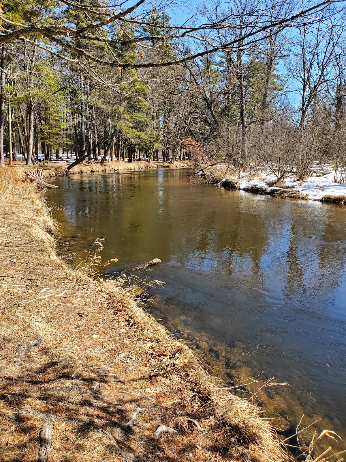 Gleasons Landing NF Campground