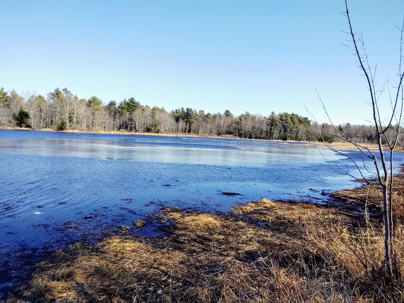 Florida Lake Campground