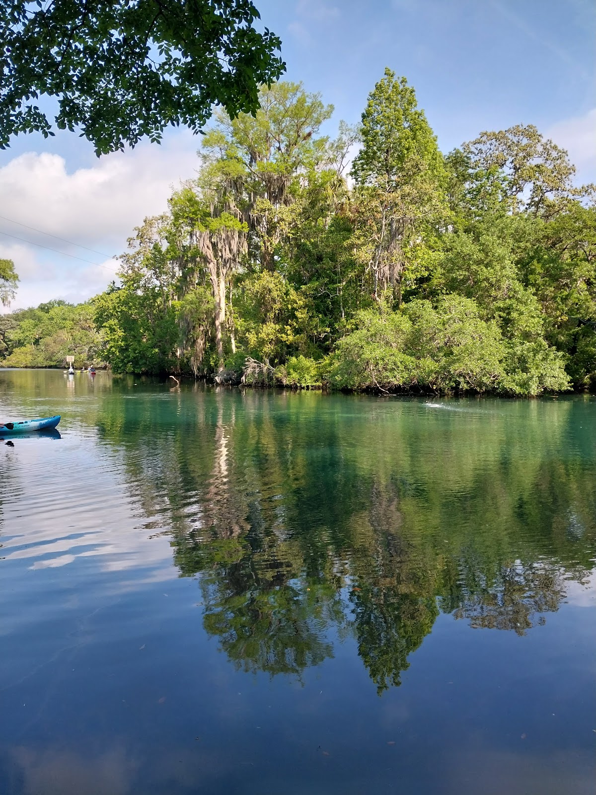 Chassahowitzka River Campground (city park)