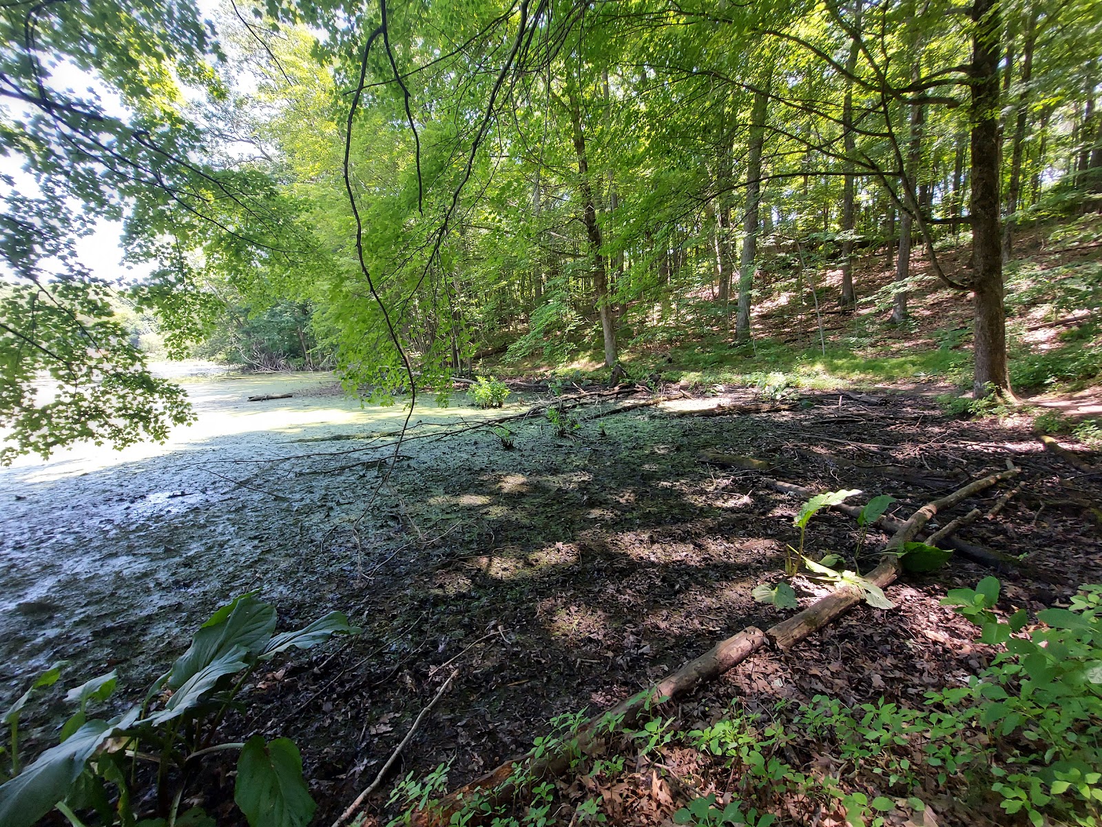 Holly Recreation Area