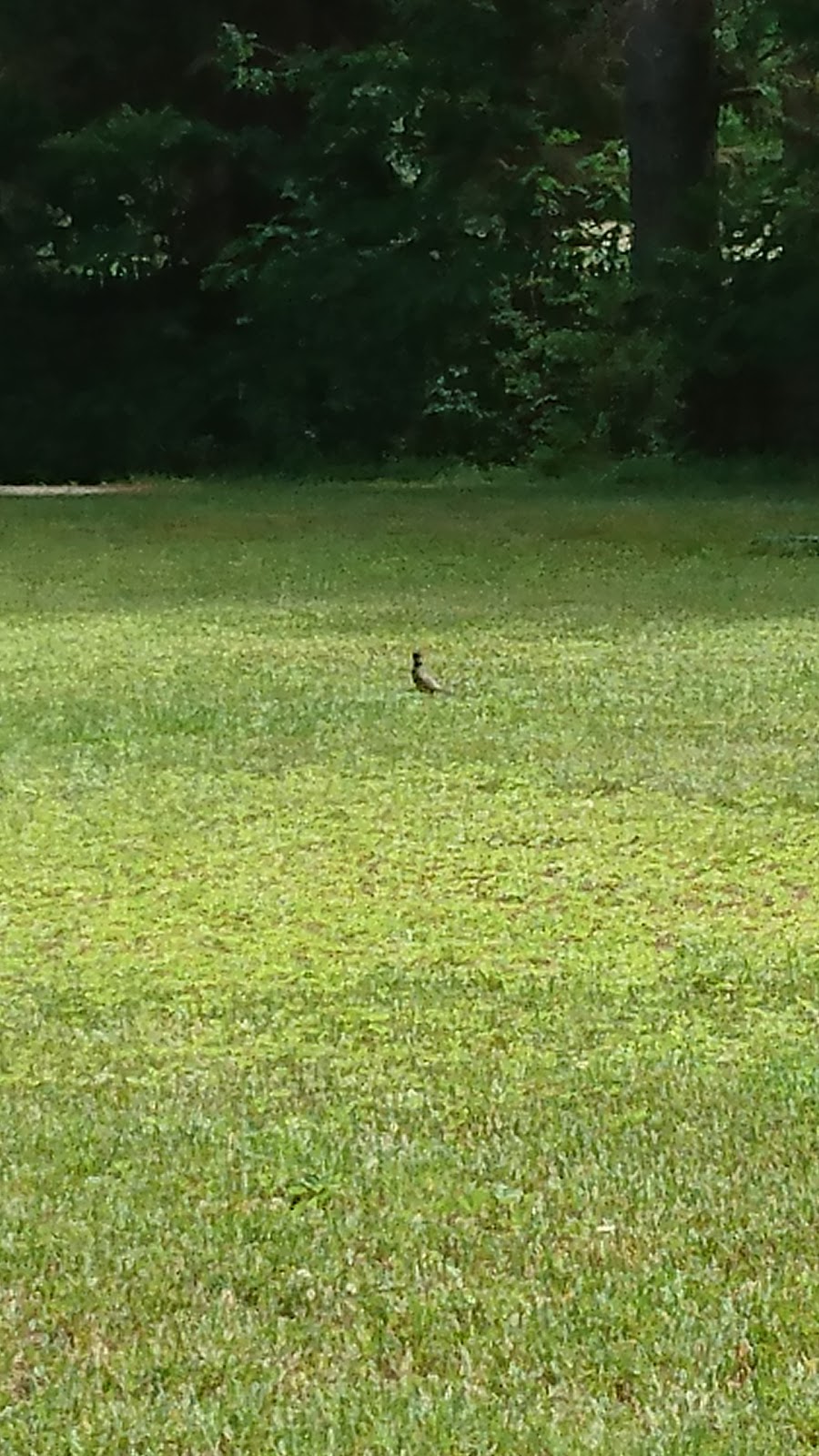 Rand Pond Campground