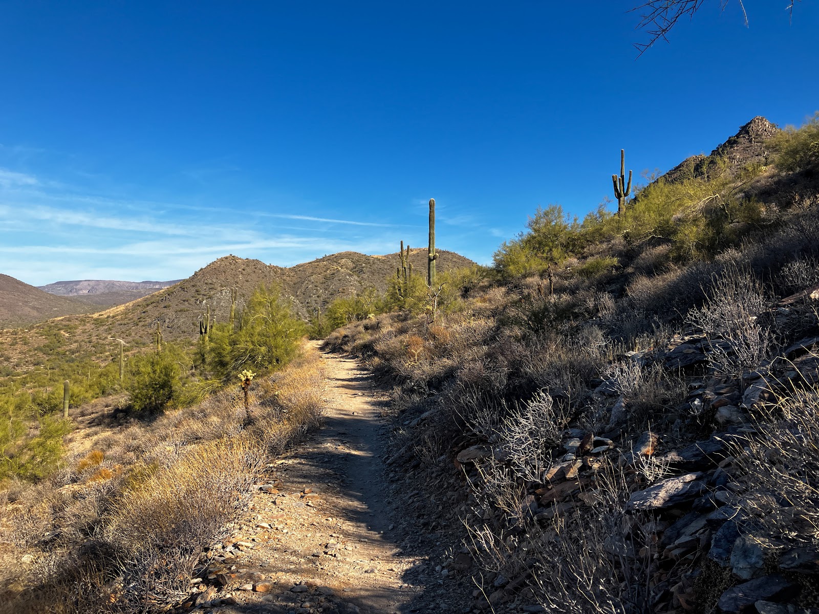 Cave Creek Regional Park