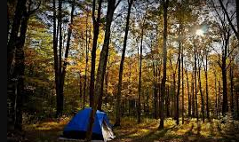 Green Ridge State Forest