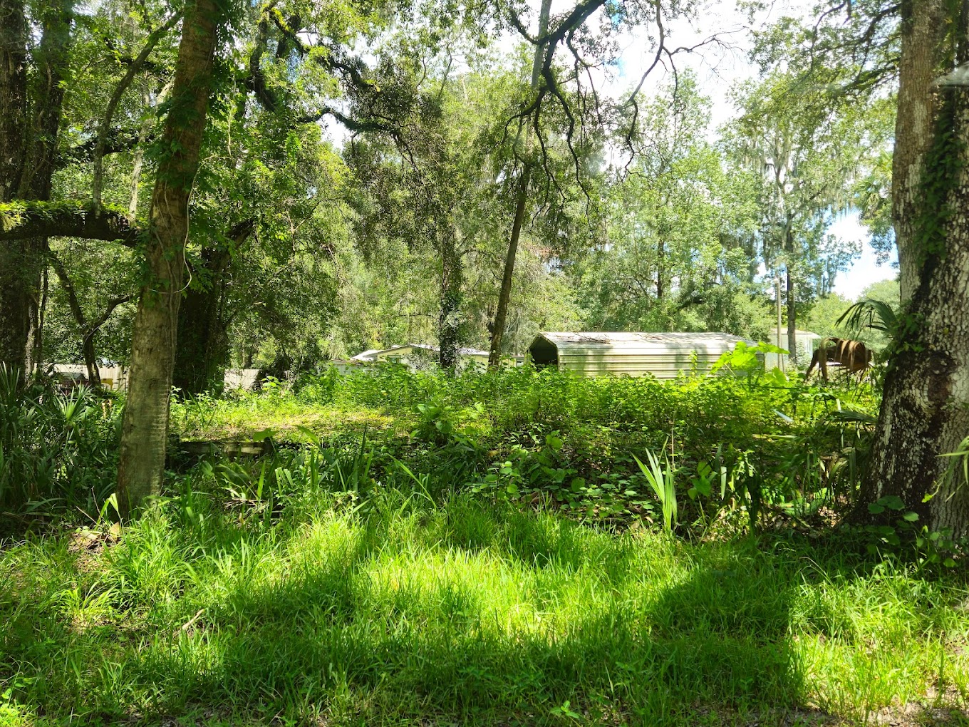 Potts Preserve