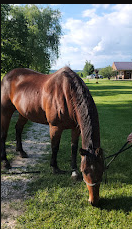 Hutchinson Family Farm Campground
