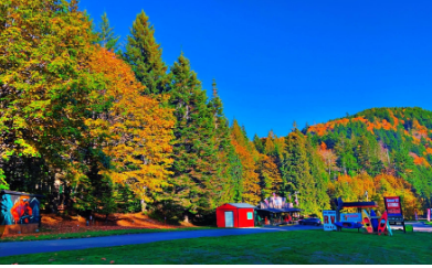 Shadow Mountain General Store and RV Park