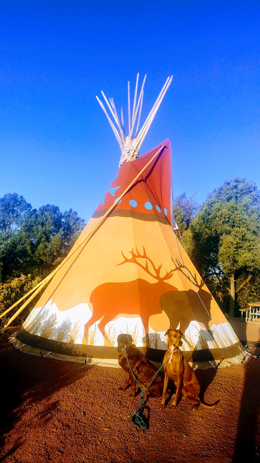 Payson Campground RV Resort