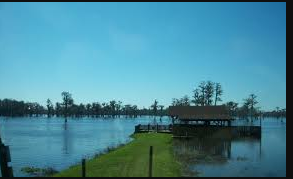 Cypress Lake Fish Camp