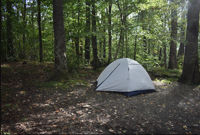 Bear Heaven Campground