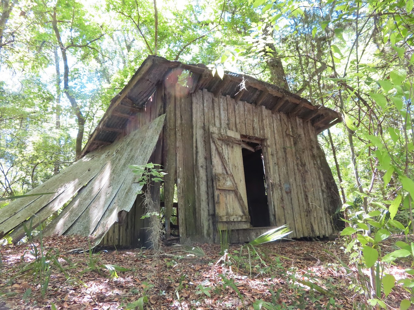 Potts Preserve