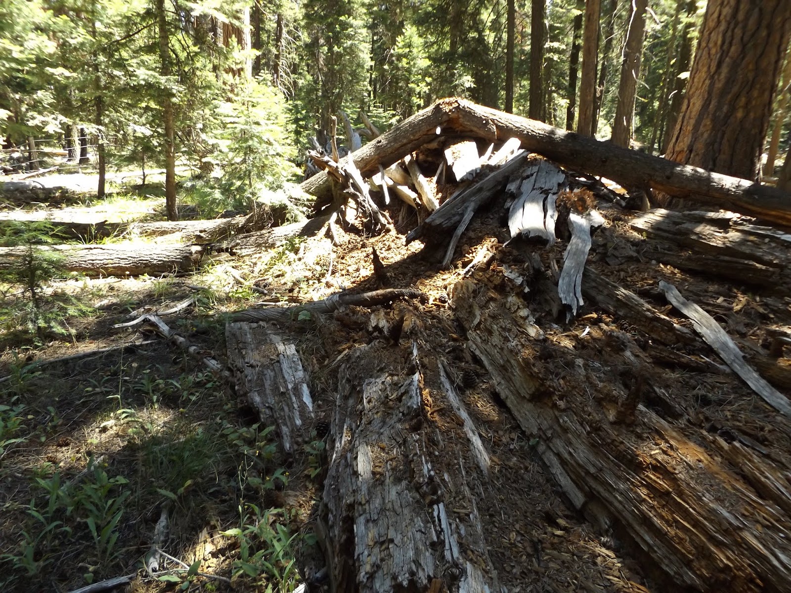 Elk Creek Campground