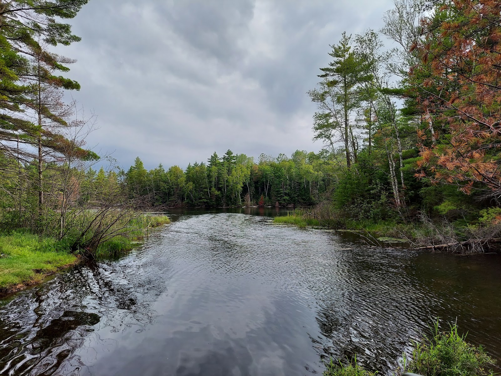 Widewaters Campground