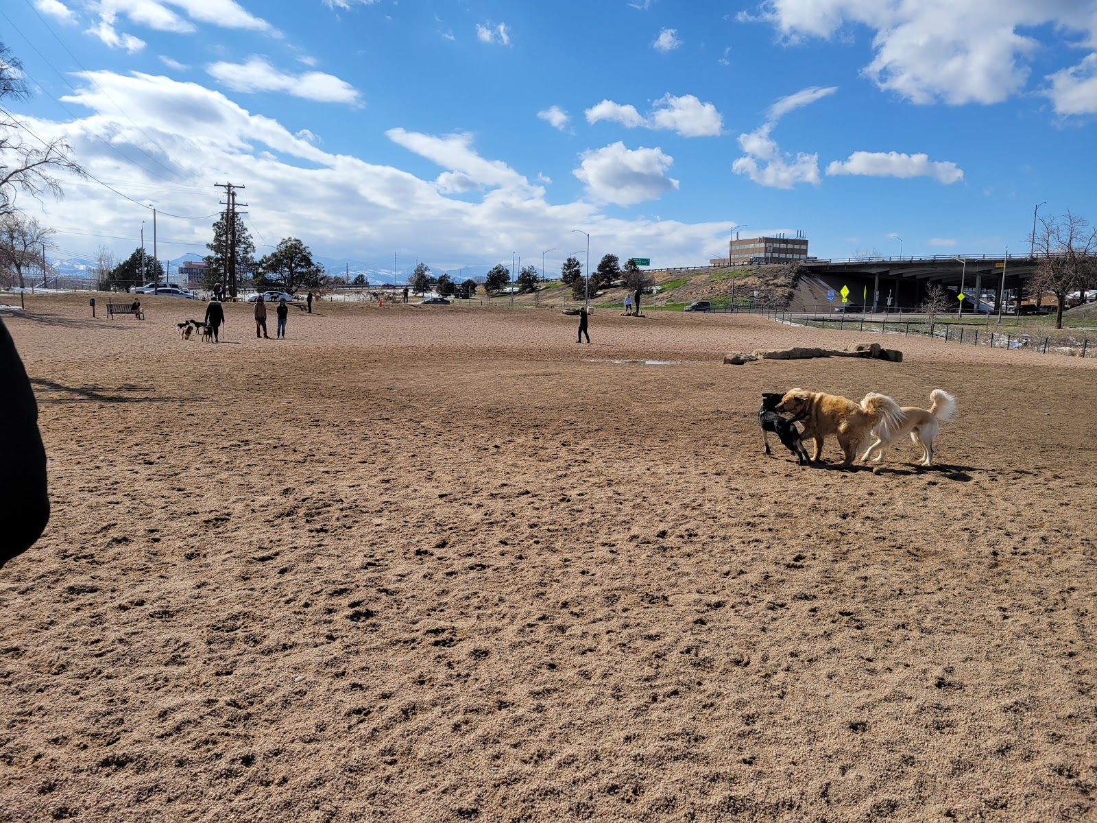 Berkeley Leashless Dog Park