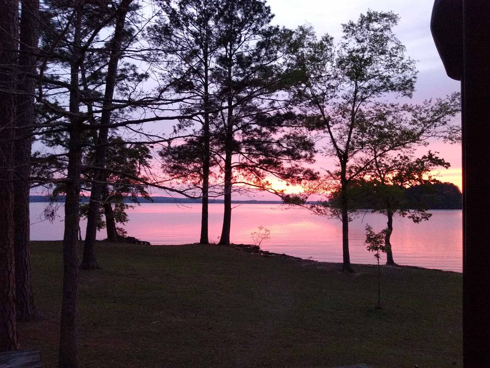 Cotton Hill Park