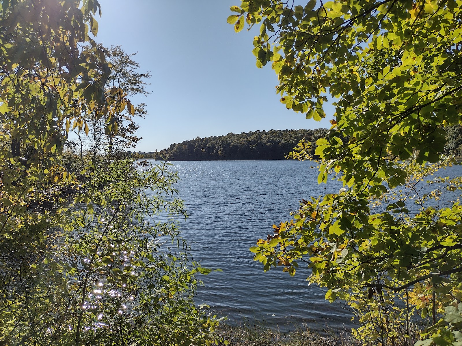 Indian-Celina Lake