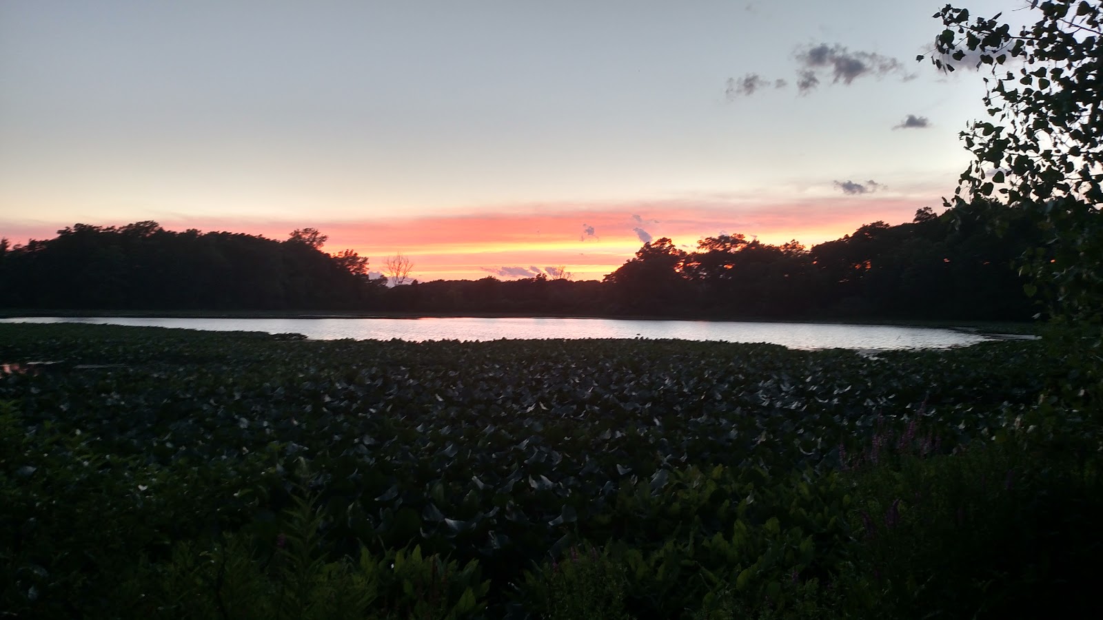 Mink Lake Campground