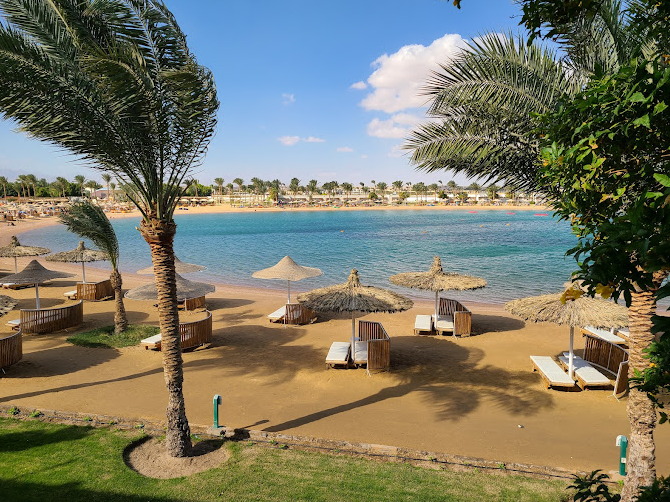 Desert Rose Resort