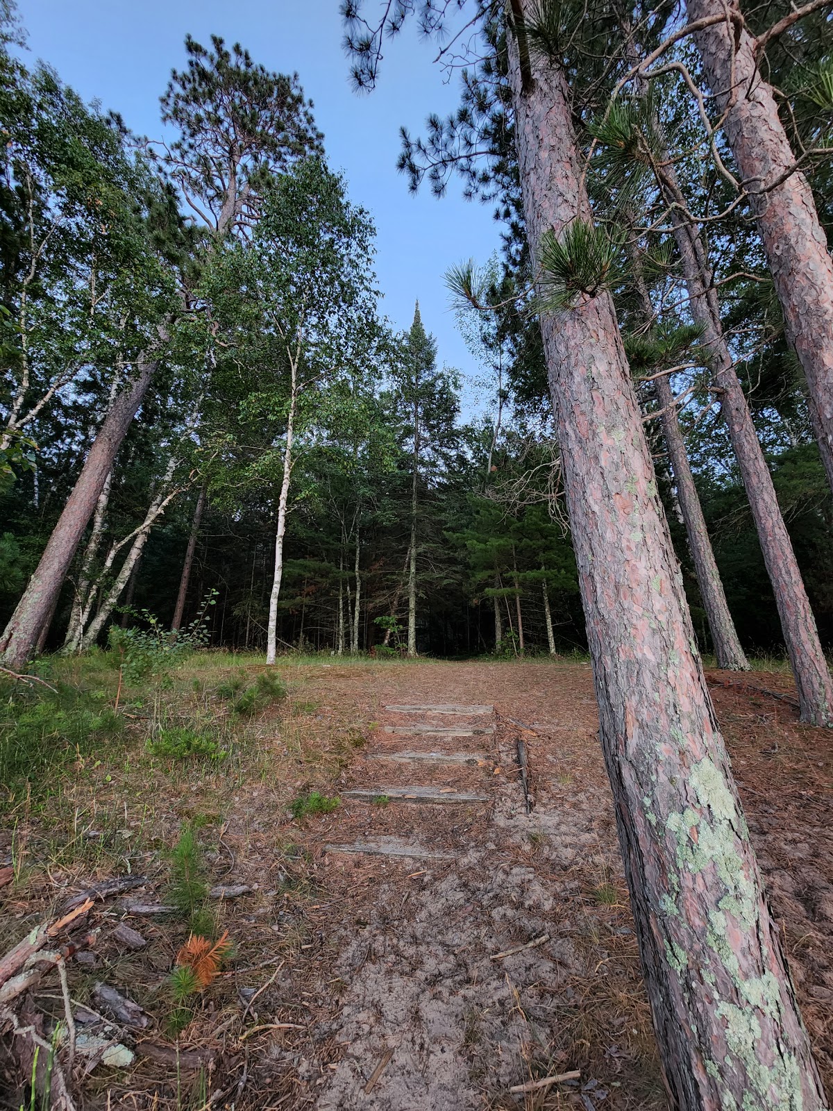 Norway Beach - Cass Lake Campground Loop