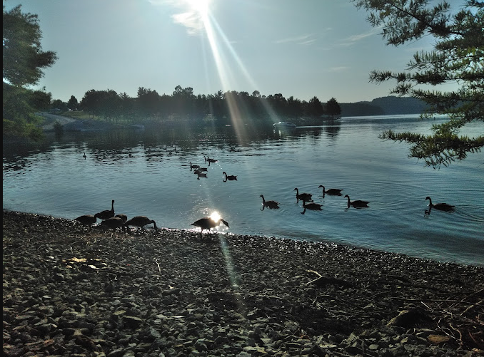 Moutardier Campground