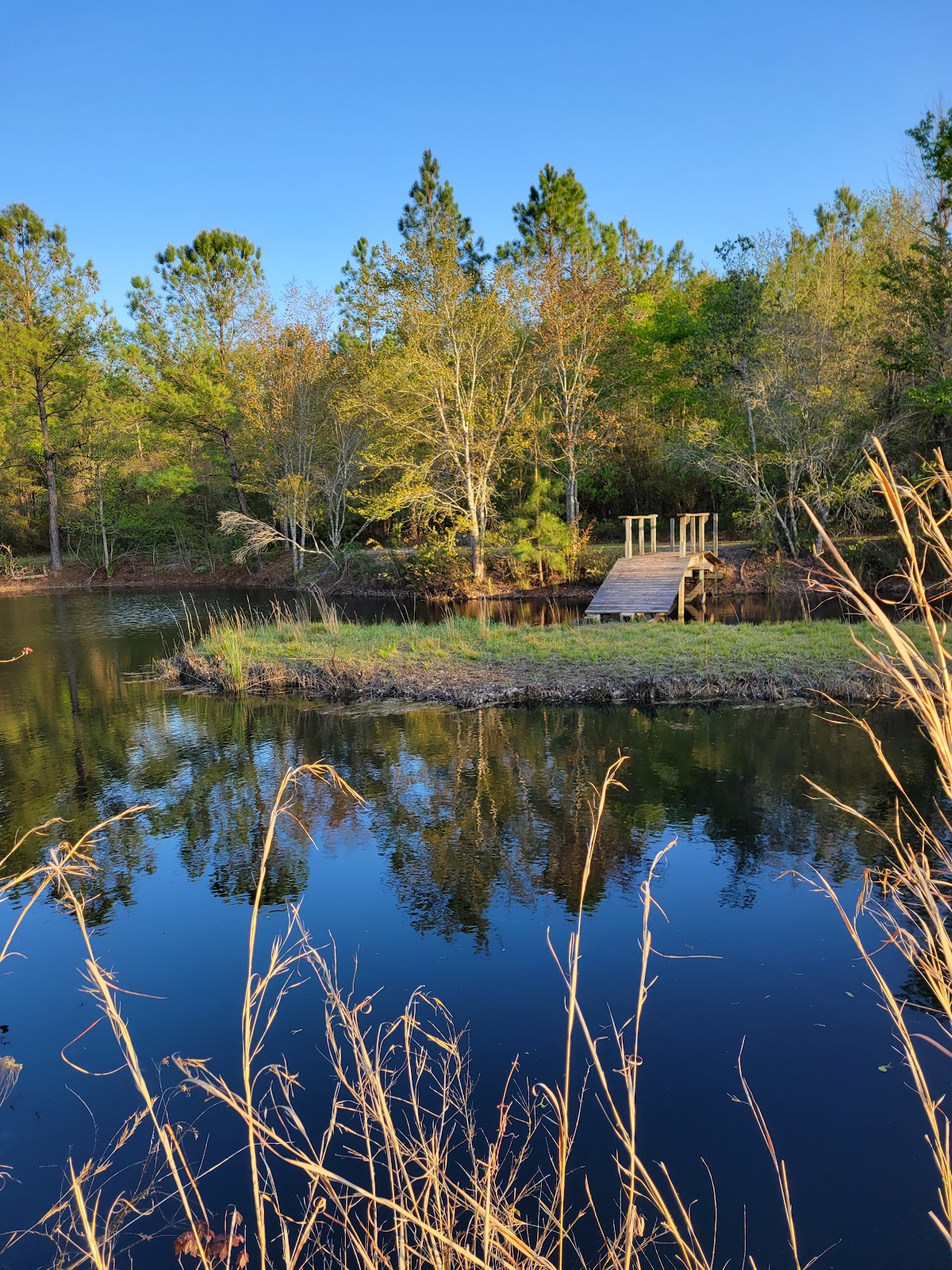 Mossy Oaks RV Park