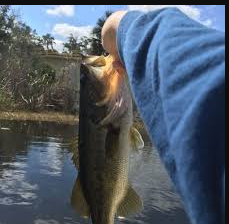 Cypress Lake Fish Camp