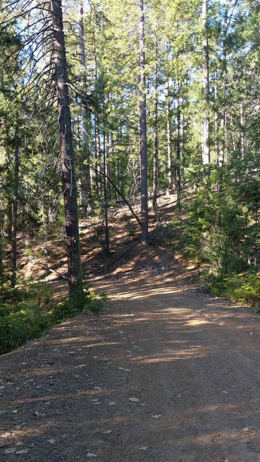 Whitlock Campground