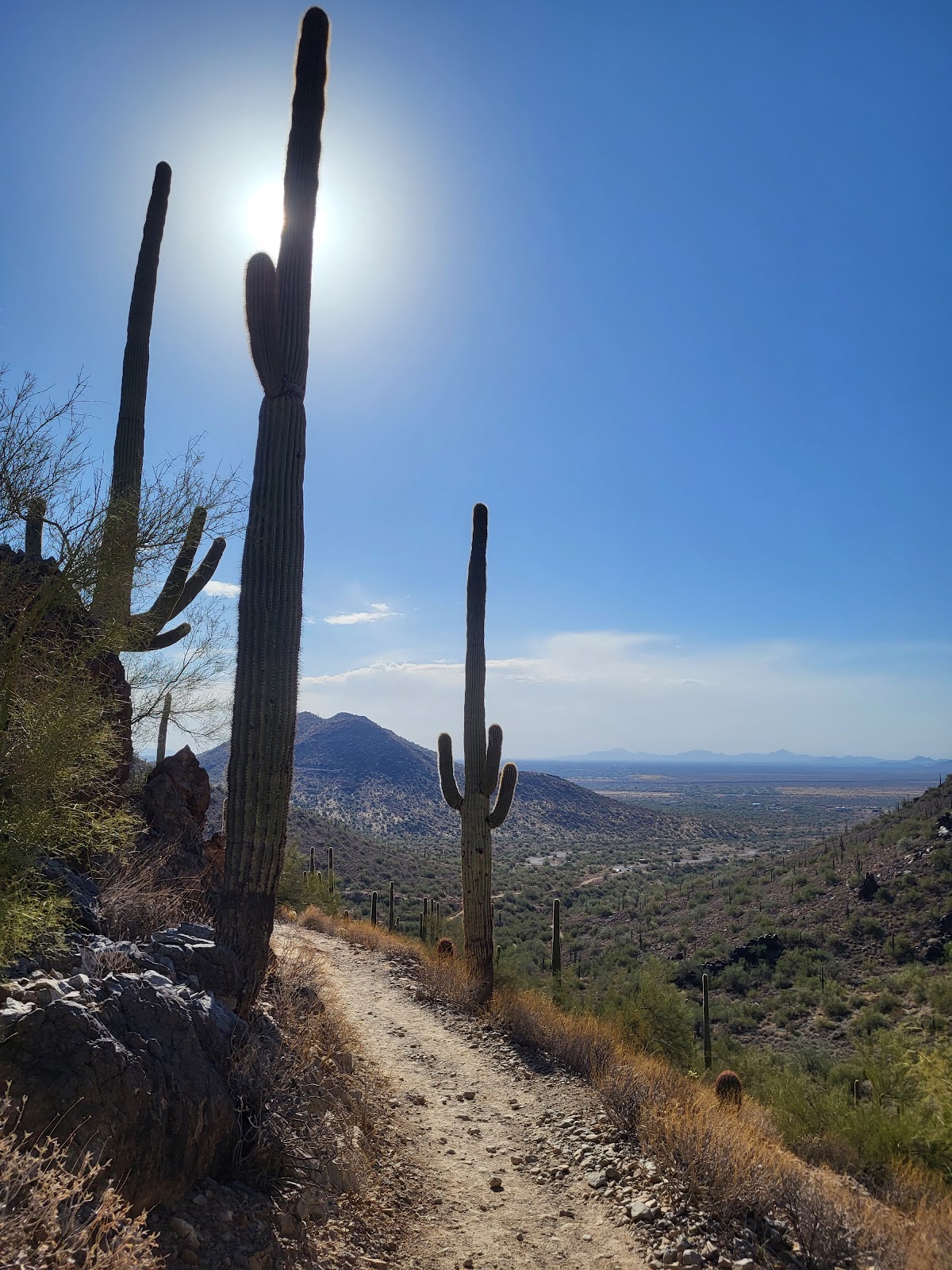 Cave Creek Regional Park