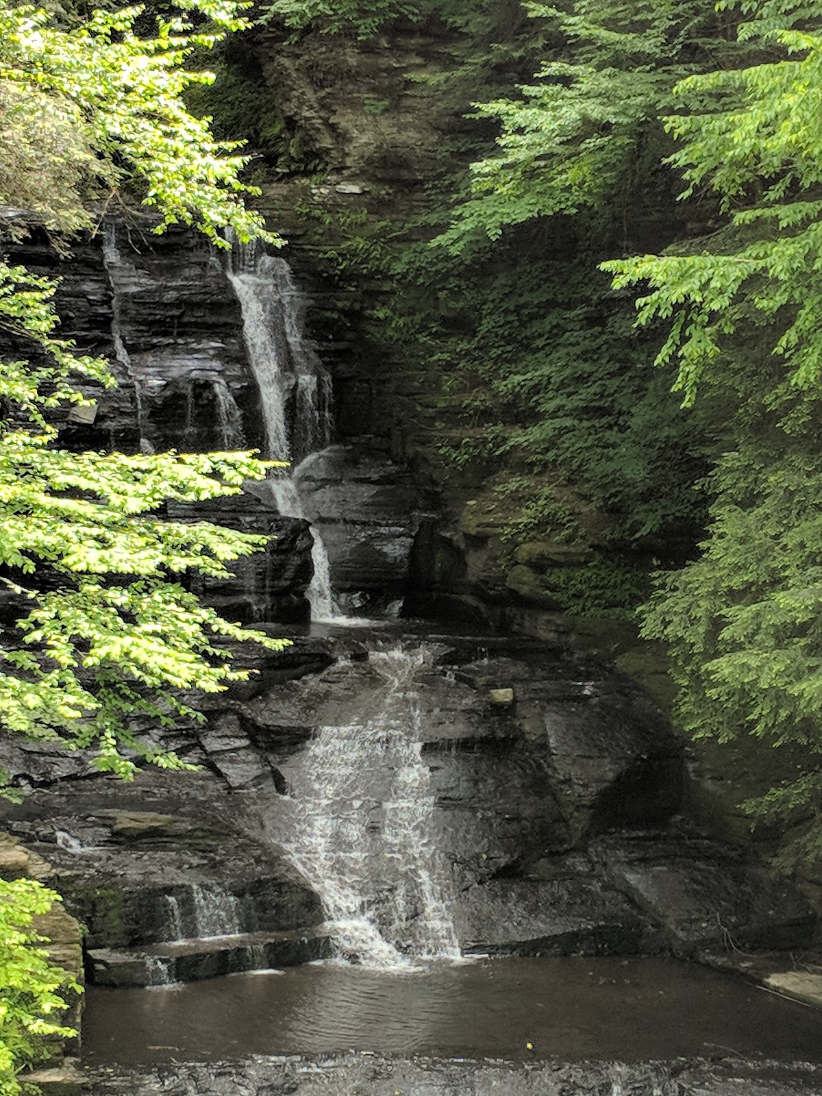 Fillmore Glen State Park