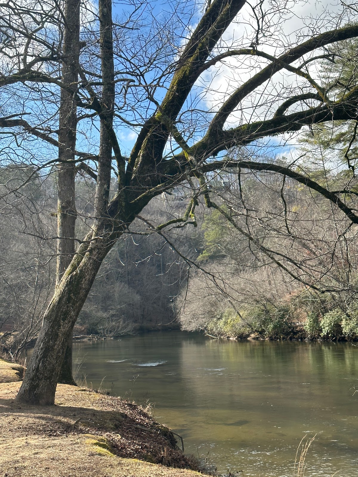 Coosawattee River Resort