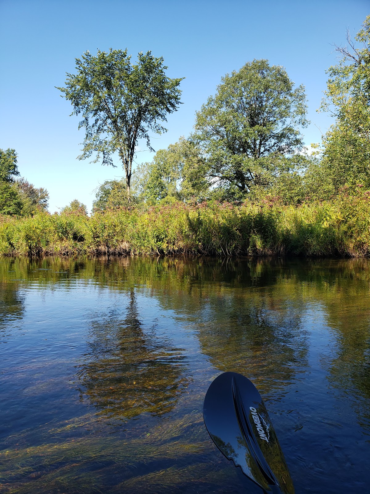 Twin Pine Campground and Canoe