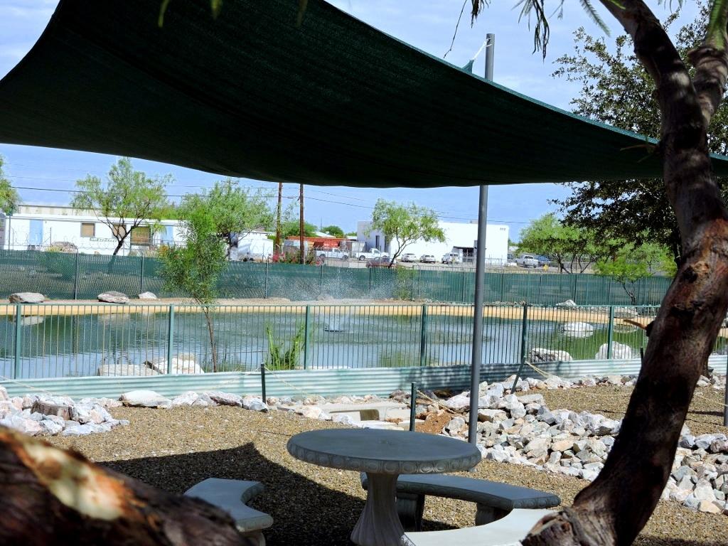 Tucson / Lazydays KOA